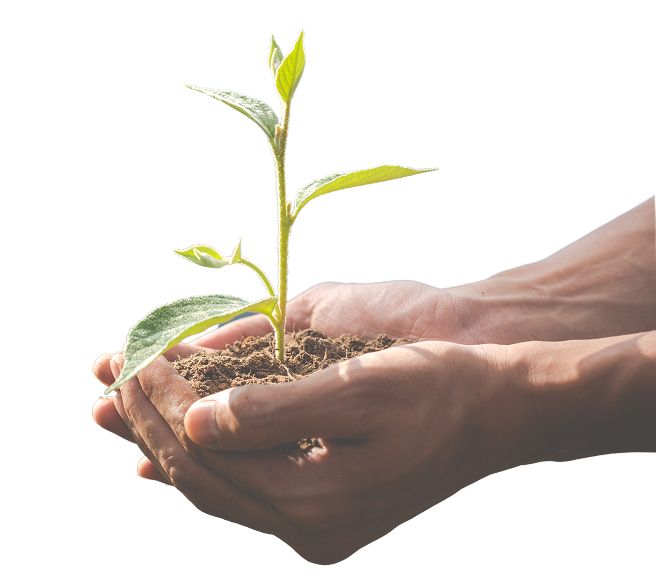 Hand holding smartphone